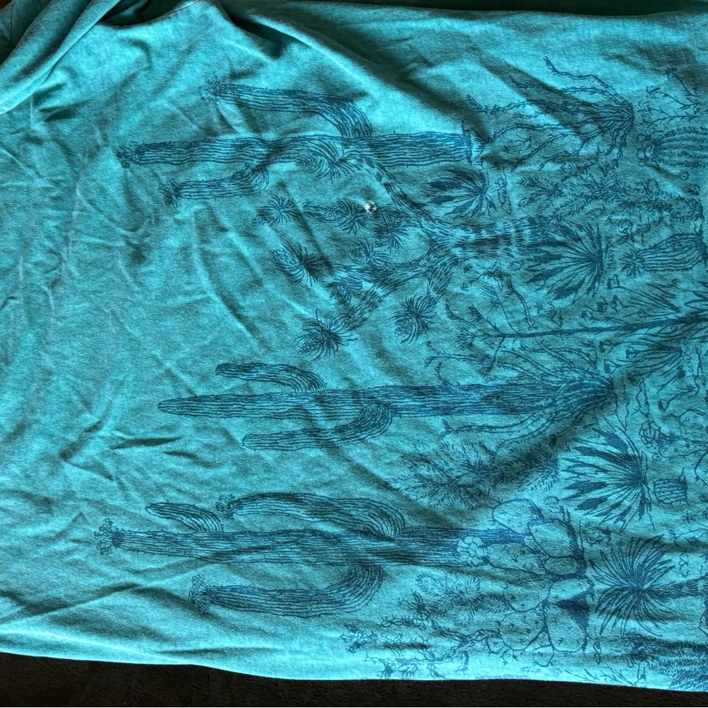 Vintage 80’s Hanes Teal desert Short Sleeve Tee - Picture 4 of 6